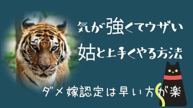 気が強くてうざい姑と上手くやる方法 私はダメ嫁認定させて聞き流す アラフィフ主婦ブログ アラフィーナ