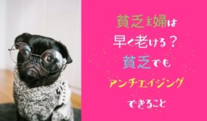 毎日がつまらないと感じる40代50代主婦はある意味当然 受け入れて前に進もう 巣ごもりアニス