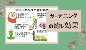 40代50代の 趣味がない 主婦にお勧め 家でできる趣味選 巣ごもりアニス