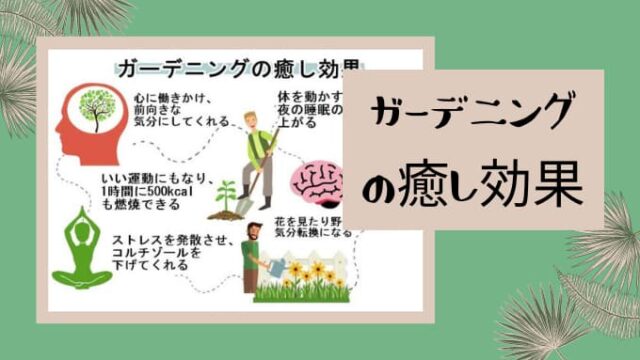 40代 50代主婦が感じる強烈な孤独感 虚しさ 私 友達いないかも アラフィフ主婦ブログ アラフィーナ