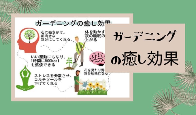 40代50代主婦にお勧め ガーデニングの癒し効果が絶大な10の理由 巣ごもりアニス