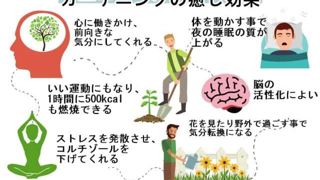 40代50代主婦にお勧め ガーデニングの癒し効果が絶大な10の理由 アラフィフ主婦ブログ アラフィーナ